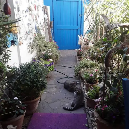 L'onda 4* أوريستانو